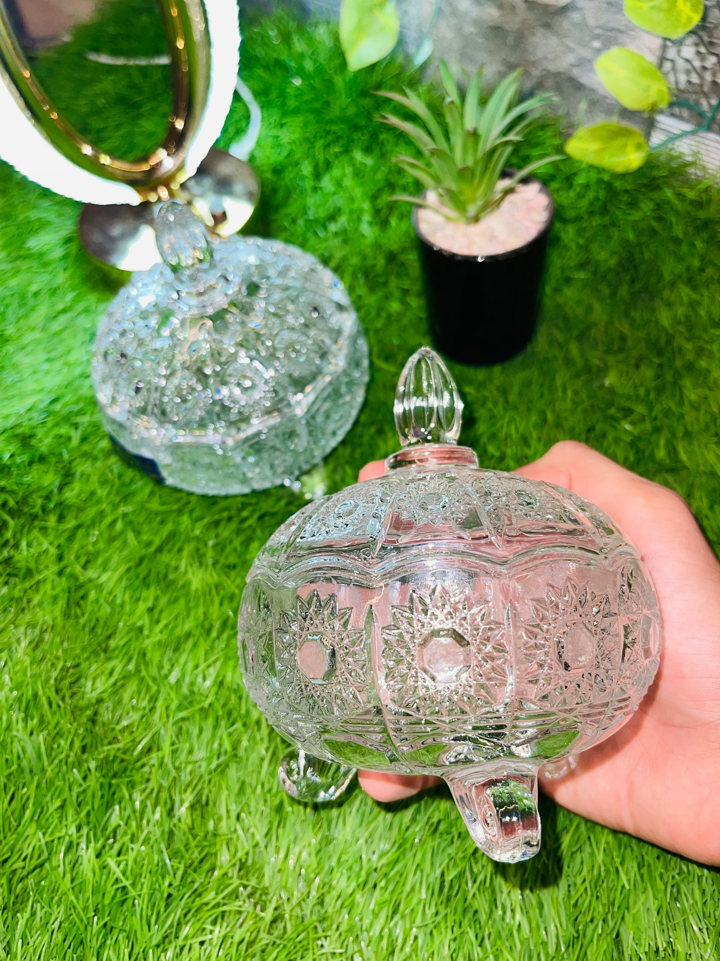 Glass Candy Box | Daily Clink