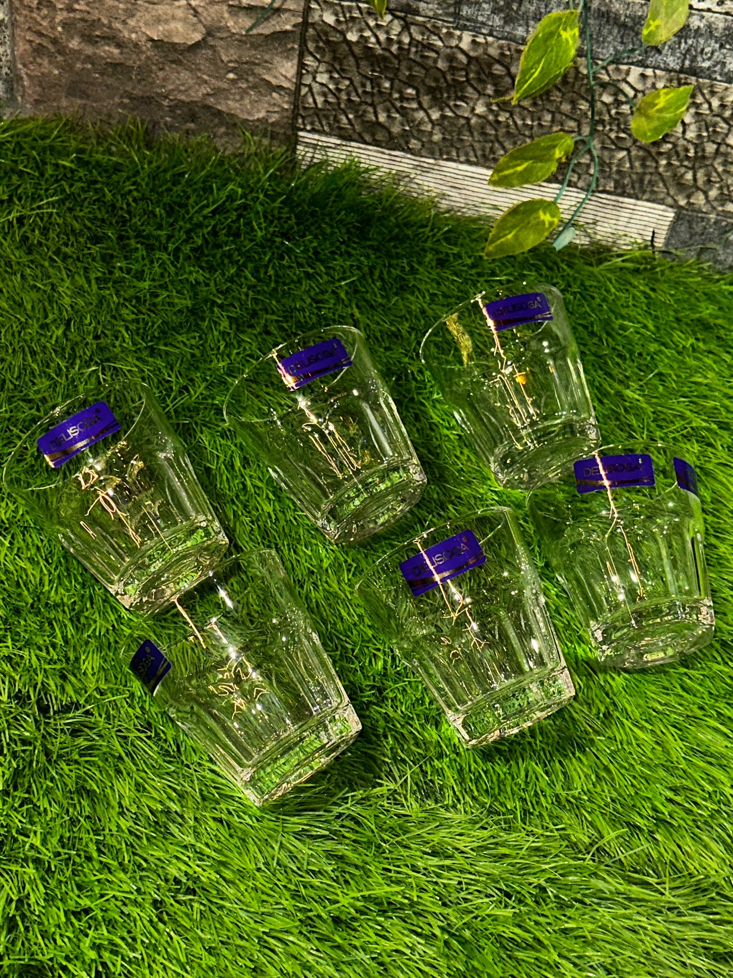 Mini Glass Tumbler Set | 6 Pieces | DAILYCLINK